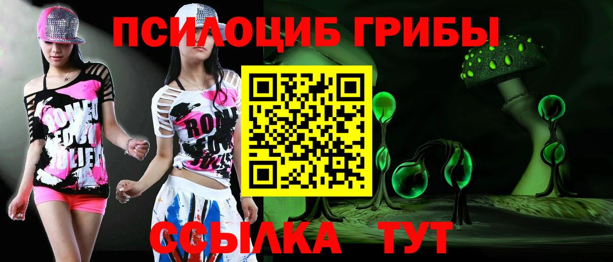 Псилоцибиновые грибы GOLDEN TEACHER Обнинск