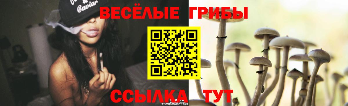купить наркоту  Вход с VPN  Псилоцибиновые грибы MAGIC MUSHROOMS  Обнинск  Псилоцибиновые грибы мицелий 